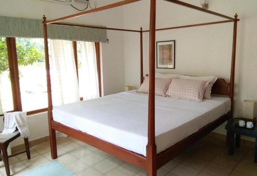 פנסיון Botanique Goa