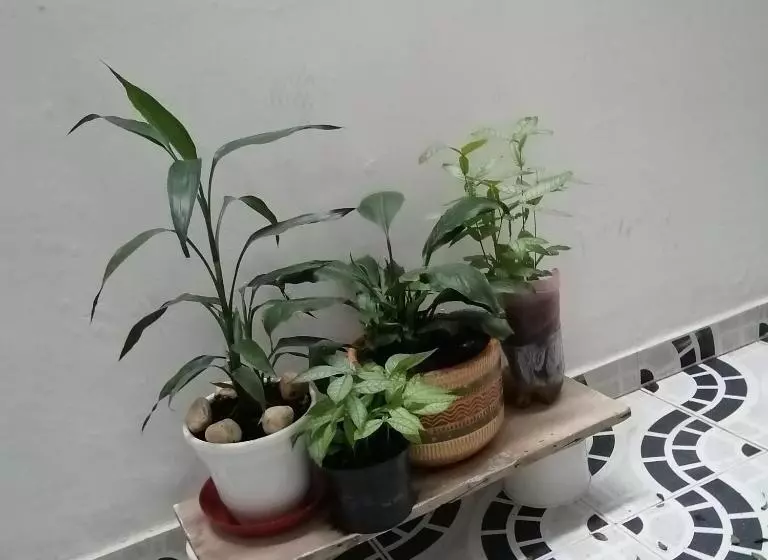 ペンション Casa Villavicencio
