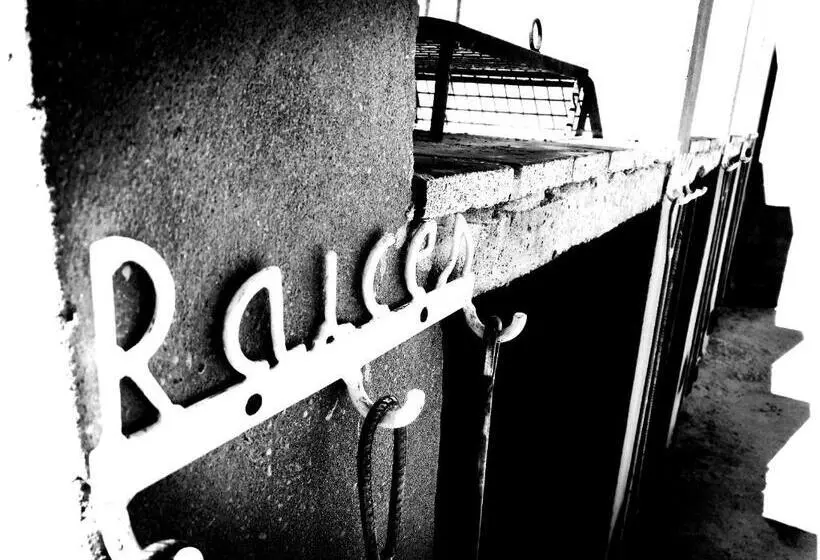 Raíces
