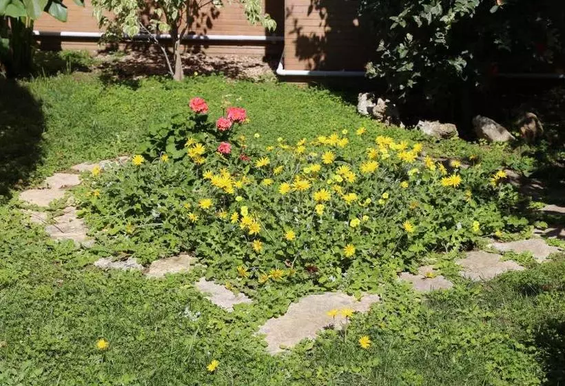 Aamiaismajoitus (B&B) Virò House