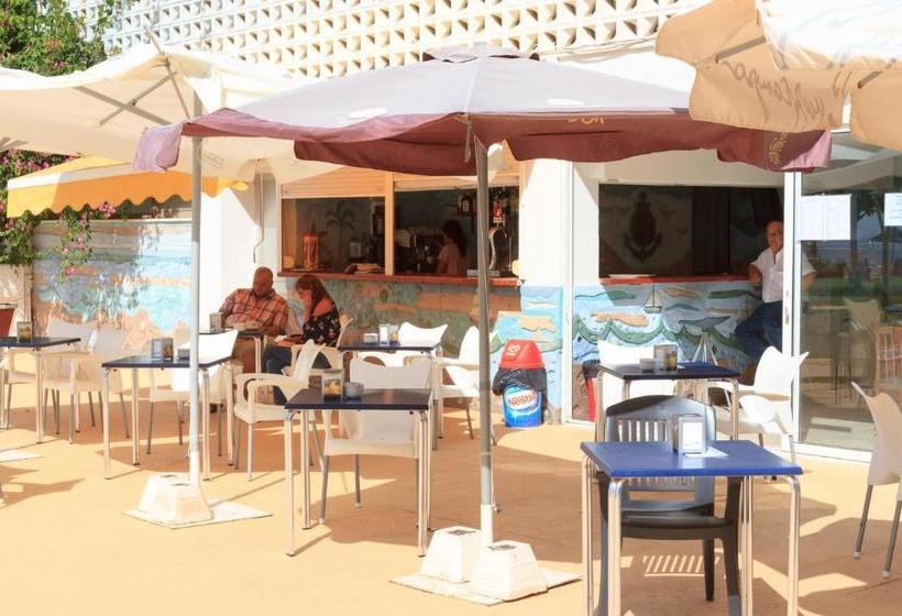 Center & White Town Apartment