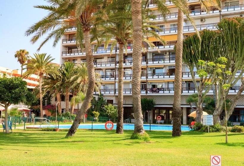 Center & White Town Apartment