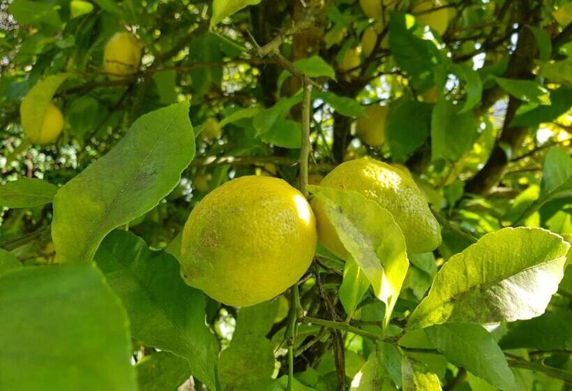 Отель Casona De San Pantaleón De Aras