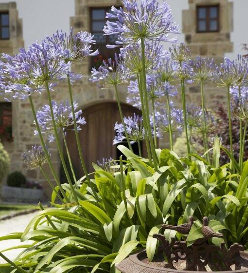 فندق Casona De San Pantaleón De Aras