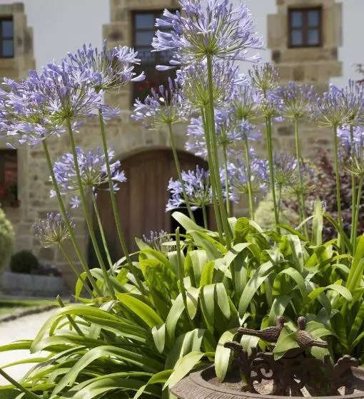 فندق Casona De San Pantaleón De Aras