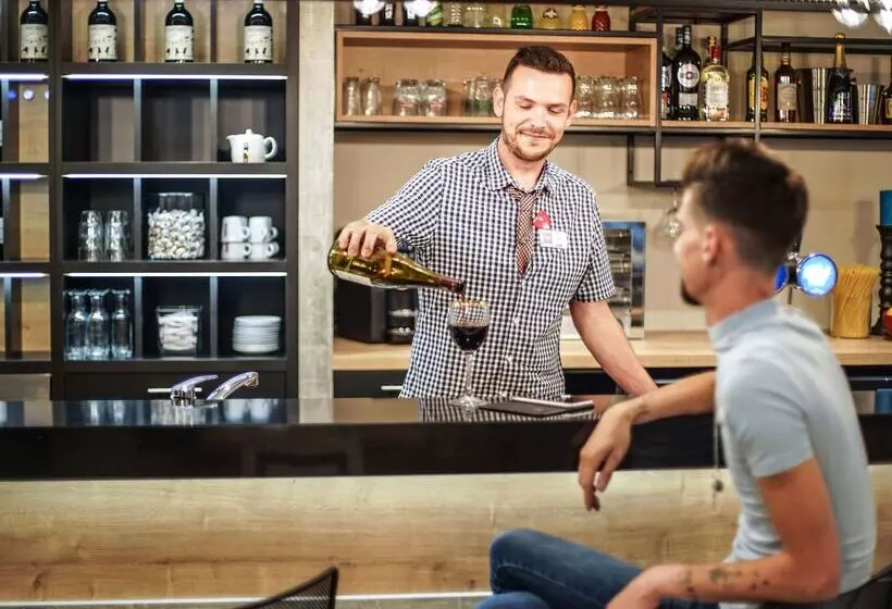 Hotel Ibis Tours Centre Giraudeau