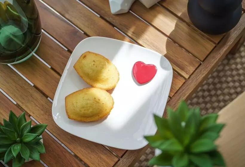 Hotel Ibis Tours Centre Giraudeau