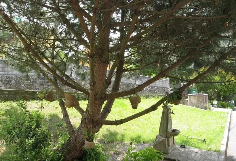 بنسيون Posada La Anjana