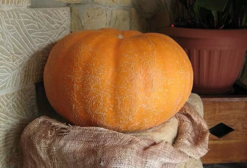 بنسيون Posada La Anjana