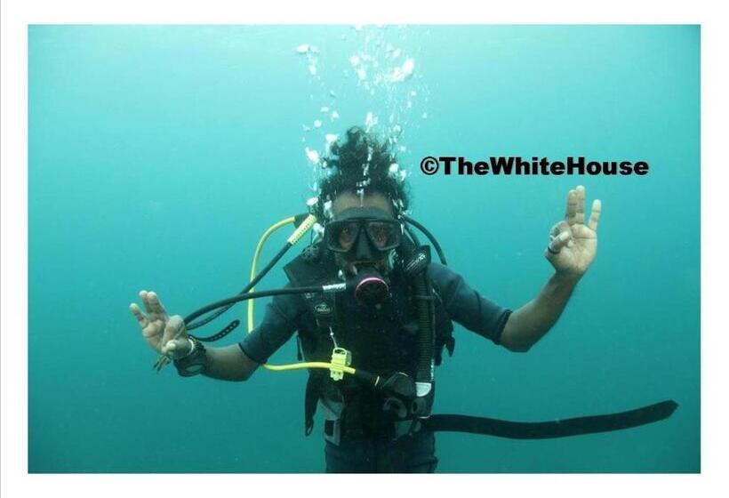 Pensjonat The White House