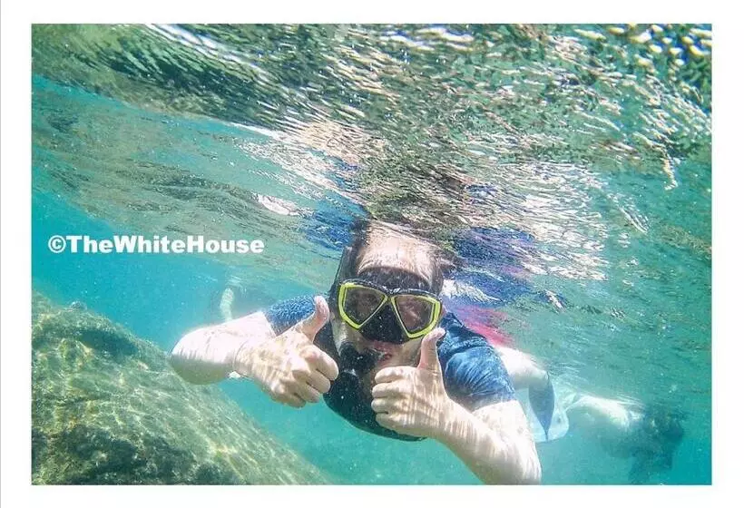 Majatalo The White House