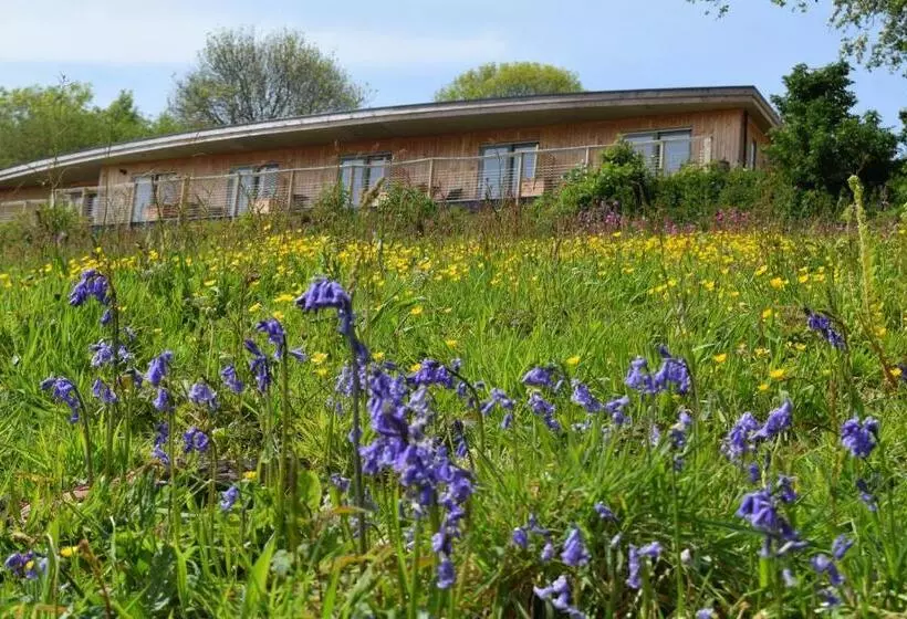 Bed and Breakfast The Sanctuary Cornwall