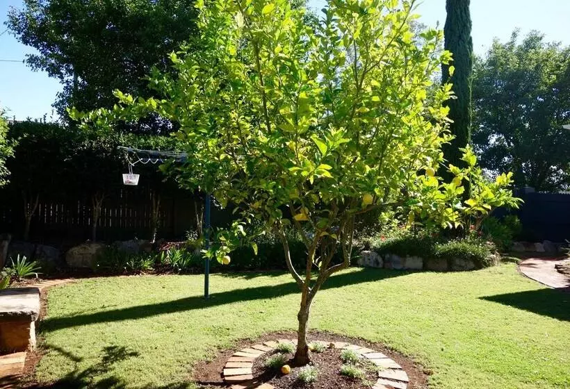 Frangipani House