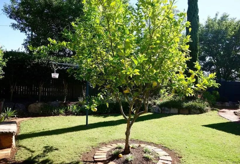 Frangipani House