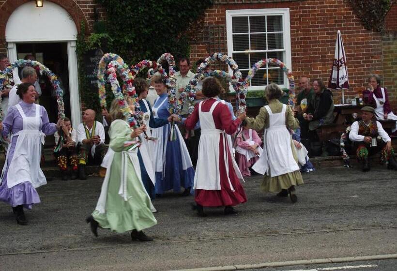 פנסיון The Theberton Lion