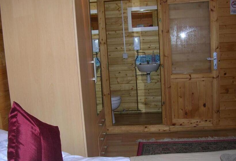 פנסיון The Theberton Lion