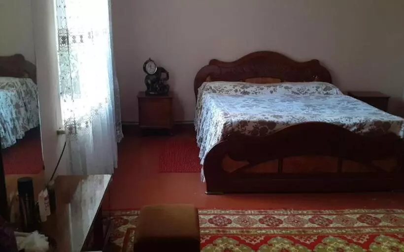 پانسیون Guest House Otilia