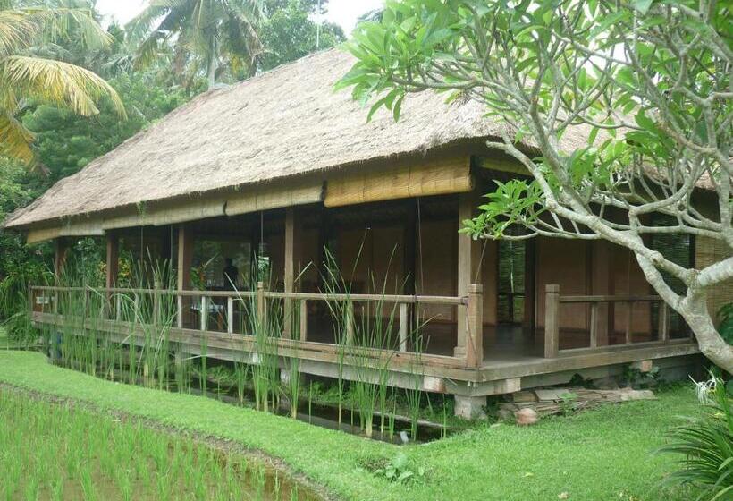 Ananda Ubud Resort