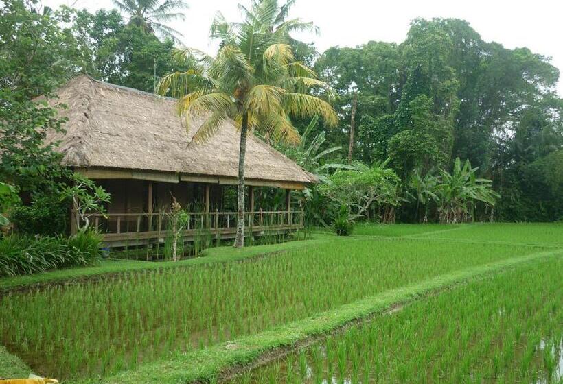 Ananda Ubud Resort