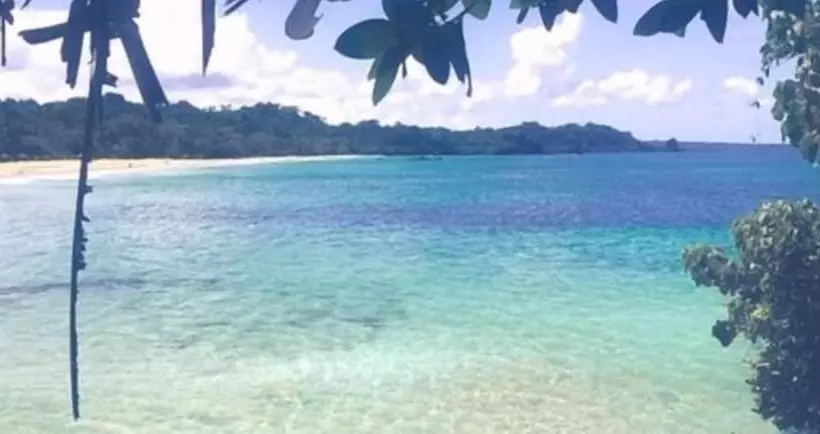 Hostal Green Coast   Hostel