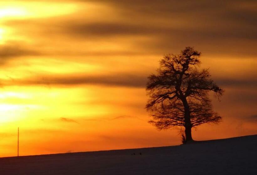Общежитие Gemeinschaftshaus Im Oberdorf