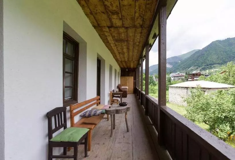 پانسیون Mushkudiani Manor