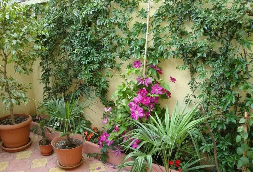 Majatalo Stela Guest House