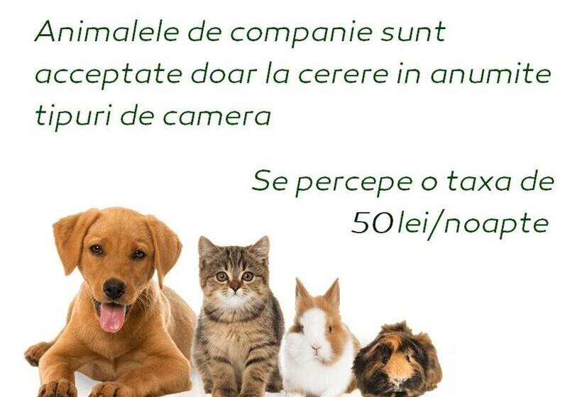 پانسیون Vila Privilege Felix