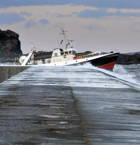 فندق King Sitric