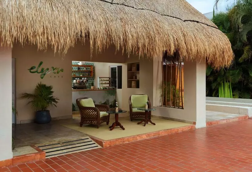 Отель Melia Cozumel  All Inclusive