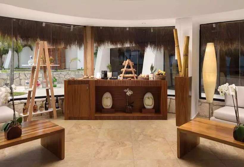 Отель Melia Cozumel  All Inclusive