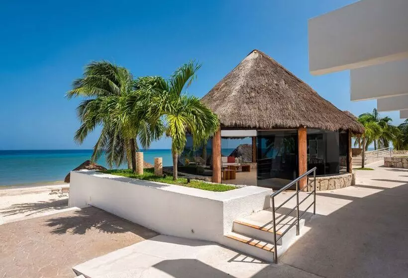 Отель Melia Cozumel  All Inclusive