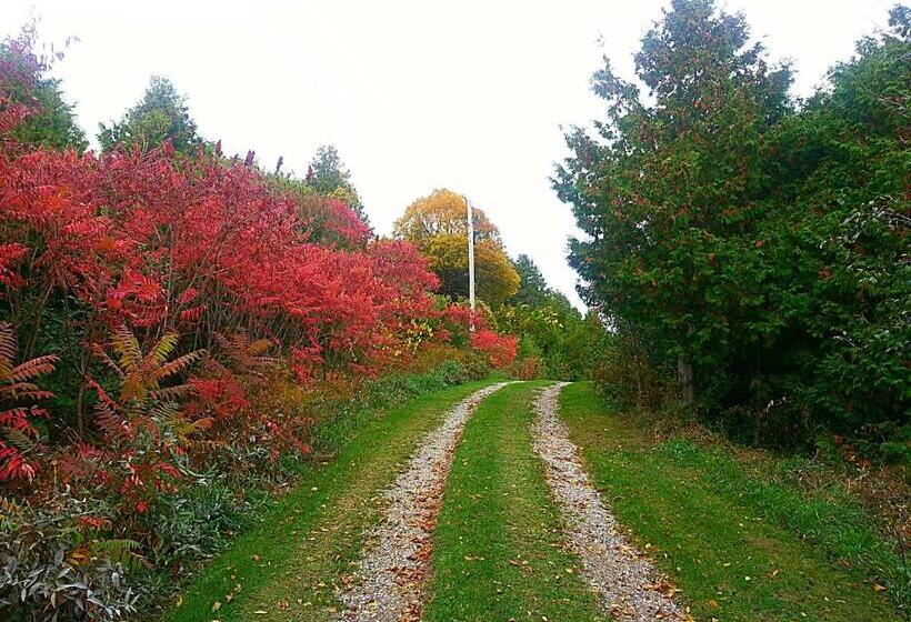 Szálló Port Albert Inn