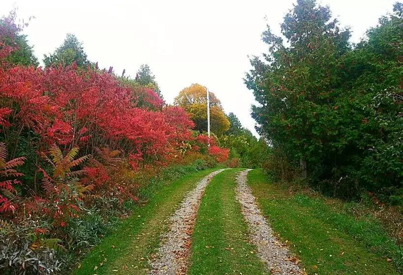 Retkeilymaja Port Albert Inn