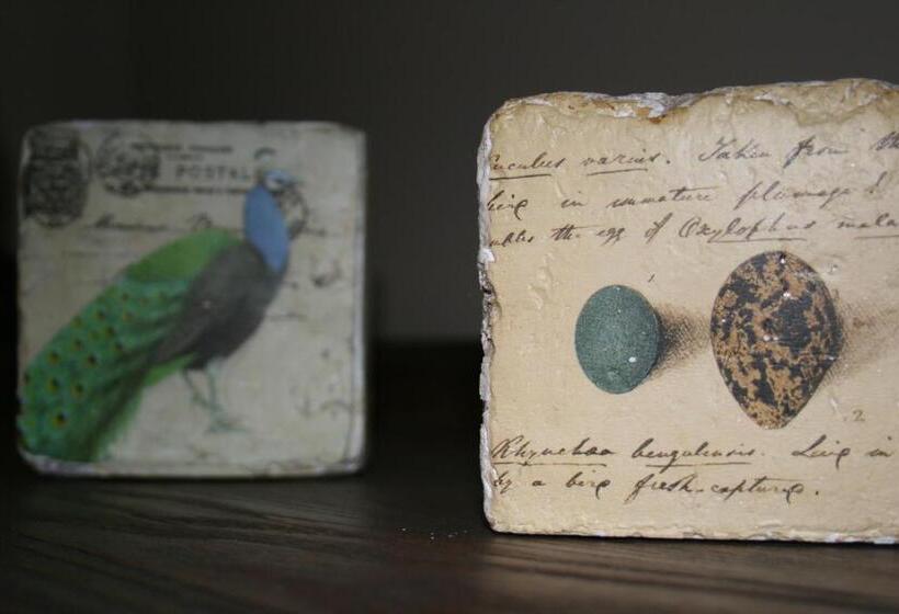 Dream Views At Arthurs Seat B & B