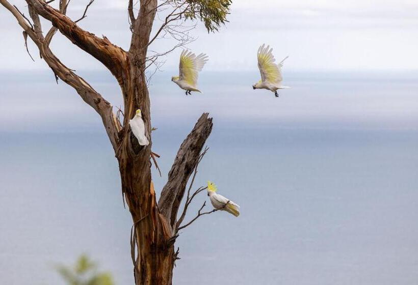 Dream Views At Arthurs Seat B & B
