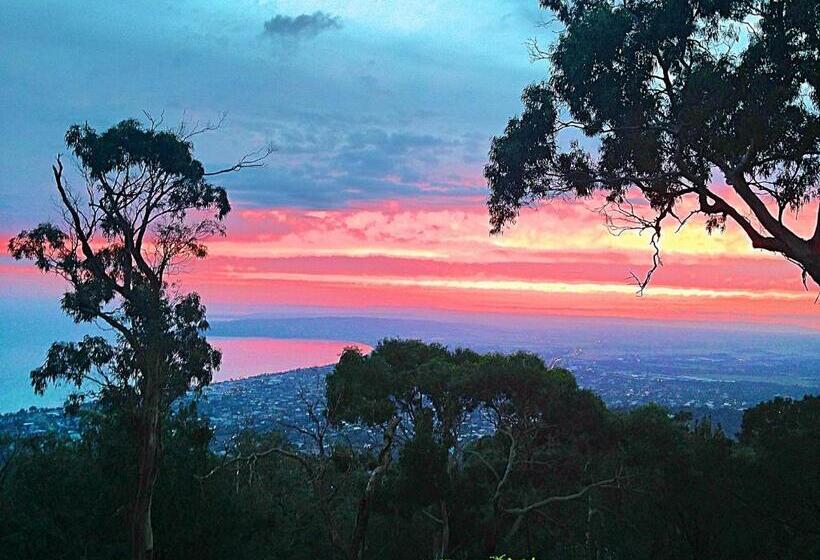 Dream Views At Arthurs Seat B & B