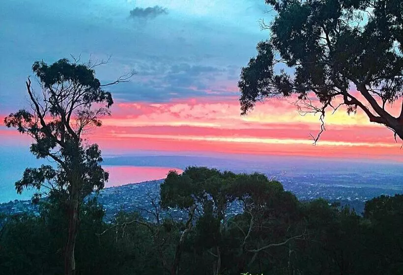 Dream Views At Arthurs Seat B & B