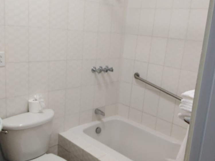 هتل Samana Spring