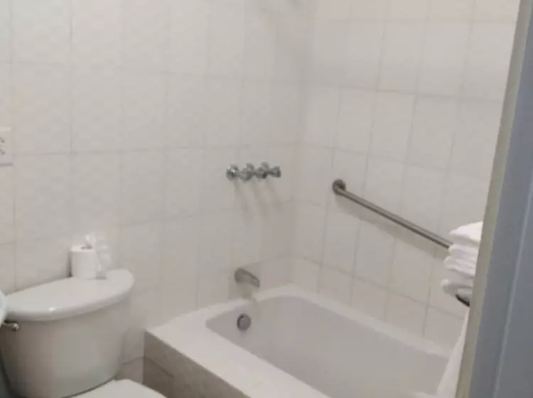 هتل Samana Spring