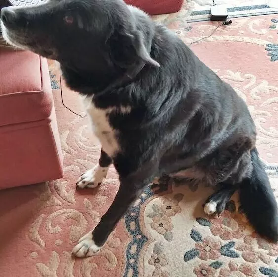 Kinross Metcalfe Farm