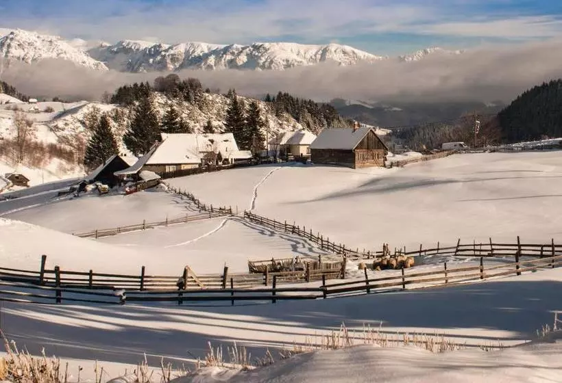 Pensiunea Ursul Carcotas