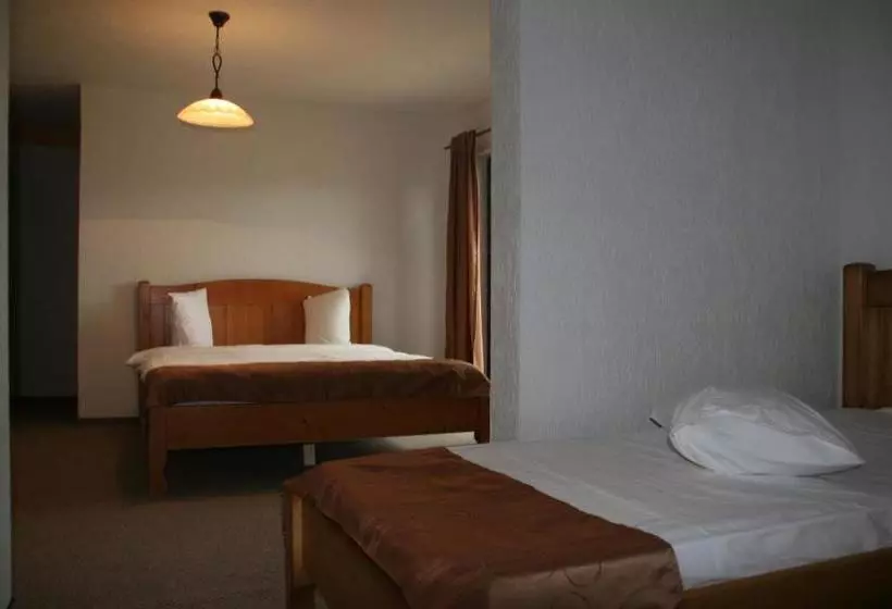 Pensiunea Ursul Carcotas