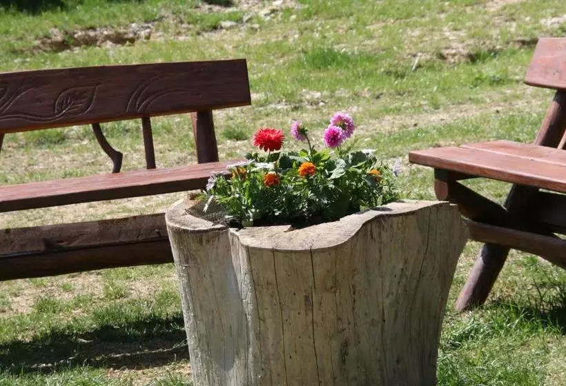 Pensiunea Ursul Carcotas