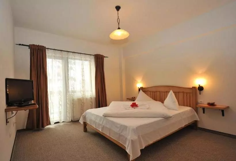 Pensiunea Ursul Carcotas