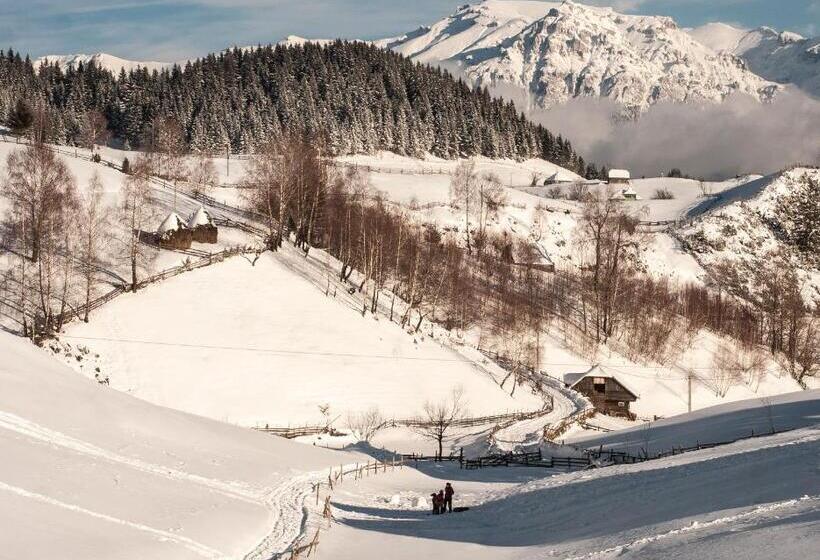 Pensiunea Ursul Carcotas