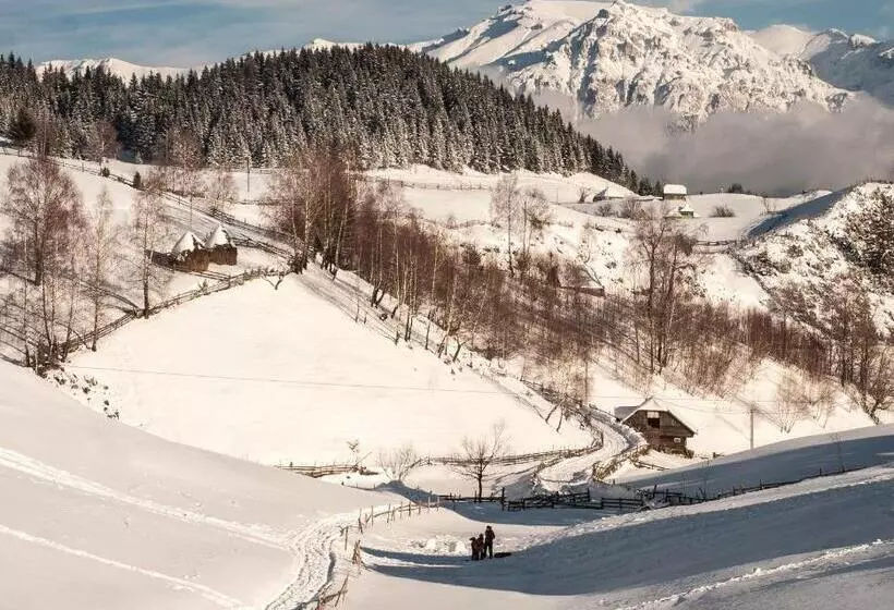 Pensiunea Ursul Carcotas