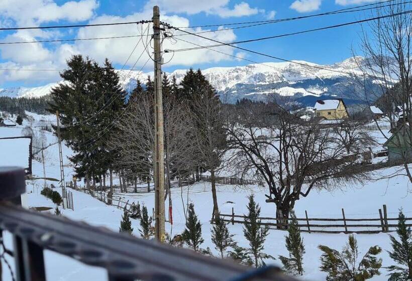 Pensiunea Ursul Carcotas