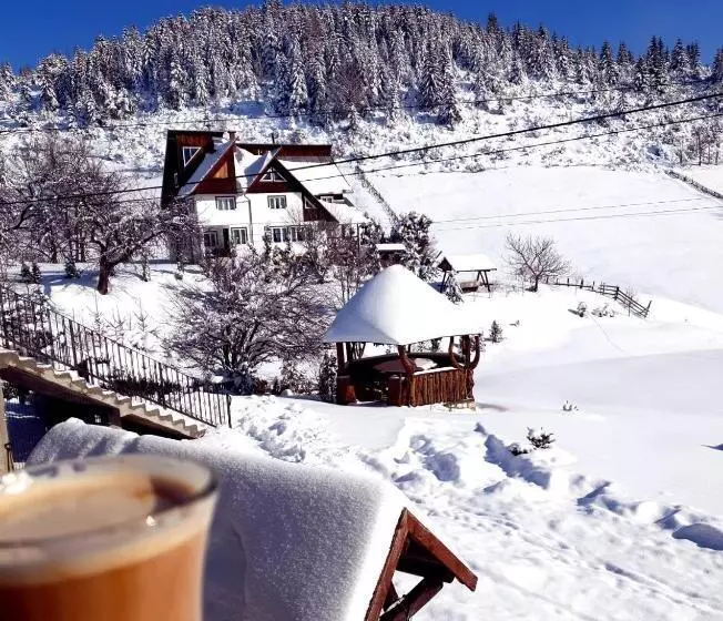 Pensiunea Ursul Carcotas