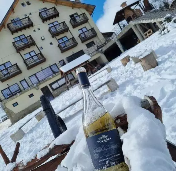 Pensiunea Ursul Carcotas